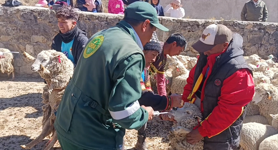 Apertura de Vías de Acceso