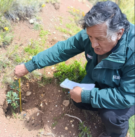 Bosque representativo del Plan de manejo forestal impulsado por SERFOR