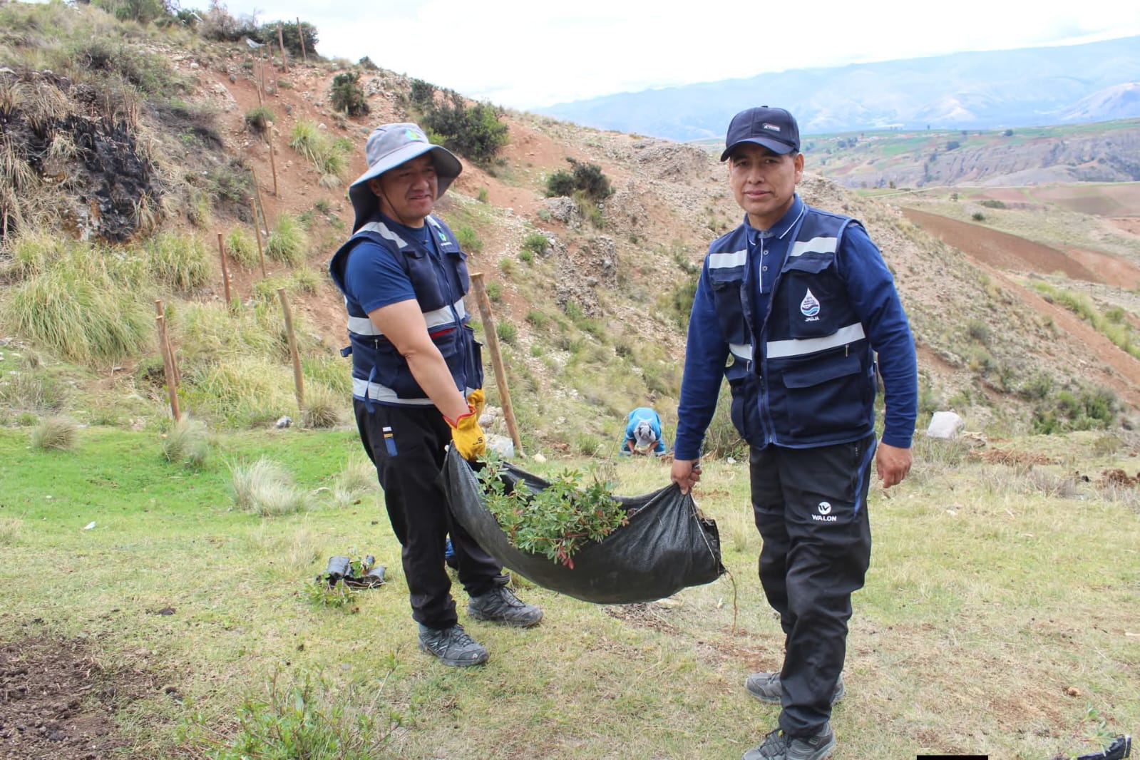 Reforestación Nativa
